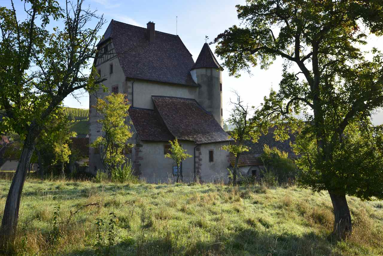 Walbach